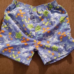 Baby Essentials 6 month swim trunks